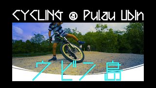 Trip to Pulau Ubin Island (ウビン島): Seafood & Cycling in the wild. [BEAUTIFUL SINGAPORE Episode 5]