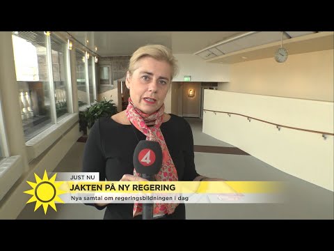 Jakten på en ny regering – "Det kan ta väldigt lång tid" - Nyhetsmorgon (TV4)