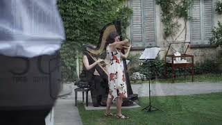 Violinista