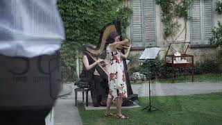 Violinista video preview