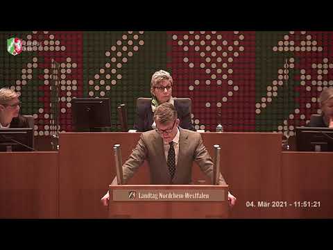 Plenum 2021 03 04 Rede zur Großen Anfrage Polizei und Innere Sicherheit