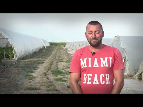 Agro Karavan - Pećinci ep.36 29.07.2018.