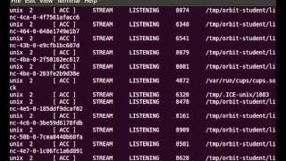 netstat 명령어