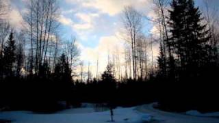 My Love Hasn&#39;t Grown Cold