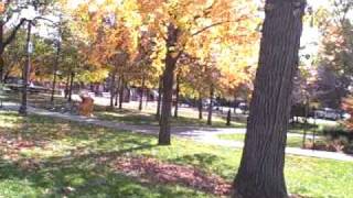 preview picture of video 'Northbrook, Illinois - The Park and Little Louie's'