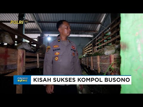 KISAH INSPIRATIF KOMPOL BUSONO YANG BERHASIL DALAM USAHA TERNAK DOMBA