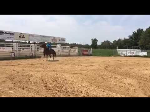 Stoney Carney MI 8/4/18 2ND 1D