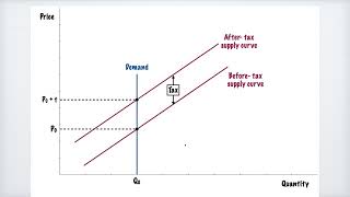 Burden of Taxation: Relationship to Price Elasticity of Supply and Demand