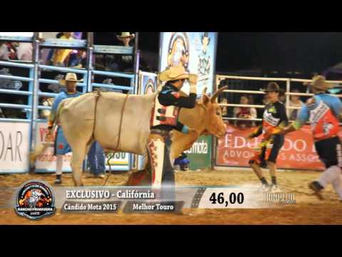 Circuito Rancho Primavera 2015 - MELHOR BOIADA / MELHOR TOURO