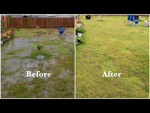 How I Built a French Drain to Improve Drainage on Clay Soil