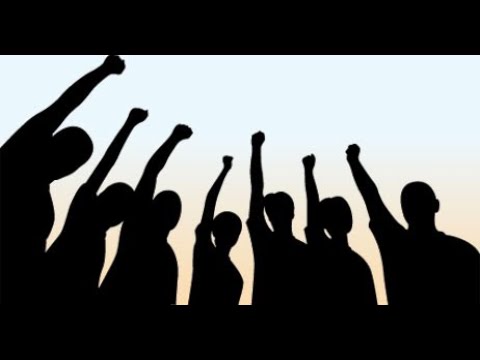 Emor: L'unité, pas l'uniformité! Quelle est la position juive sur le sujet?