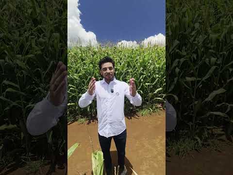 DroidFarm