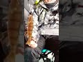 Video Thumbnail for Perch fishing #short #fishing #subscribe #shorts