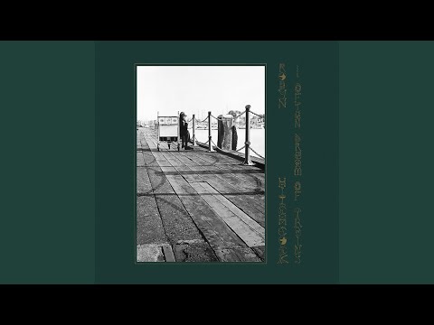 Ye Sleeping Knights Of Jesus - Robyn Hitchcock