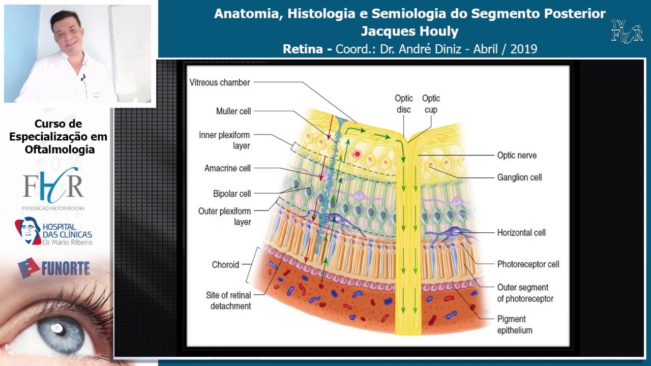 Anatomia, Histologia e Semiologia do Segmento Posterior - Jacques Houly - Retina 25 05 19
