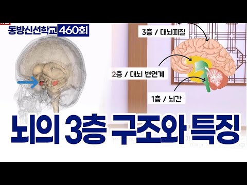기초(숨) 수행과정