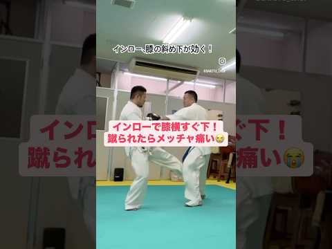 インローで膝の横の少し下蹴ってみて、めっちゃ痛いわ #空手 #インロー #karate