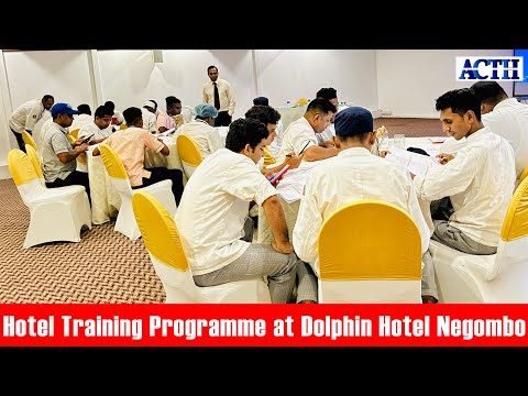 Hotel Club Dolphin Training