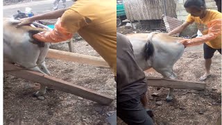 how to get pregnant is what you should know