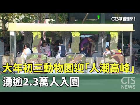 大年初三動物園迎「人潮高峰」　湧逾2.3萬人入園