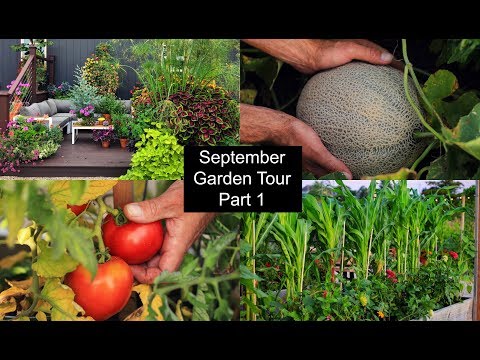 September Garden Tour, Part 1 | Detailed Garden Tour of Varieties & Tips