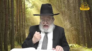 דף היומי בחצי שעה – סנהדרין דף נ”ד