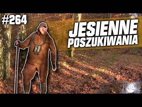 Darz Bór odc 264 - Jesienne Poszukiwania