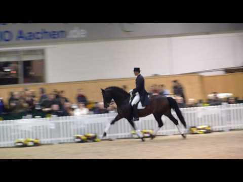 Aachen Hengstschau 2010 Finale