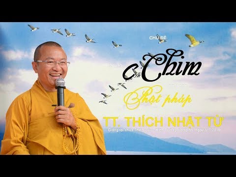 Hãy làm con chim đầu đàn Phật pháp - TT. Thích Nhật Từ 