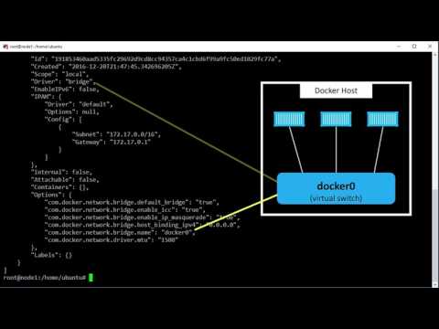Bridge Networking for Single Host Container Networking