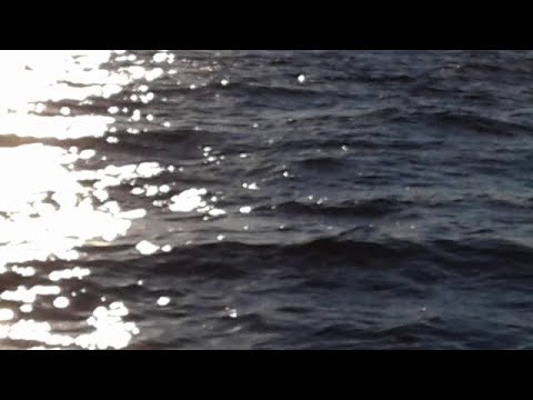 you tube the narcissist sarcastic A.i.