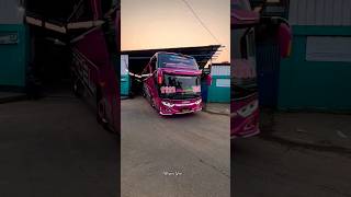 Download lagu ASYROF FADEL MSM | JULUKAN RAMISYA #bus #purple #asyrof #msm #fadel mp3