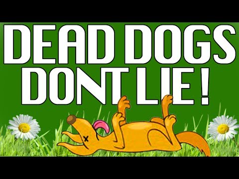 Raw Dog Food - Homemade - Raw Dog Food Recipes