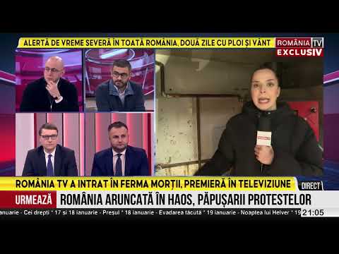 Dovezi beton despre mâna criminală la Ferma Dacilor, imagini video care arată că focul a fost pus