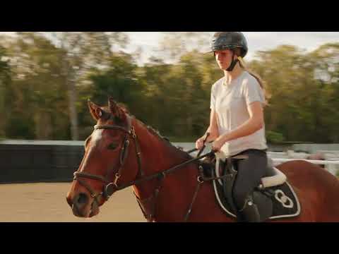 173-187 Carbrook Road, Cornubia, QLD 4130, 11 slaapkamers, 7 badkamers, House