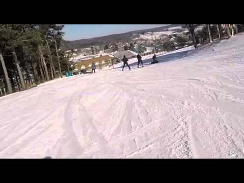 Josh Basile Quadriplegic Adaptive Sit-Skiing