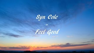 Syn Cole - Feel Good Lyrics