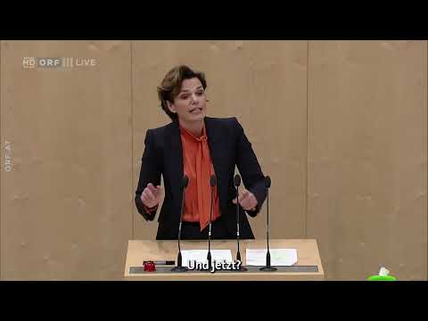 Pamela Rendi-Wagner im Nationalrat (13.12.2022)