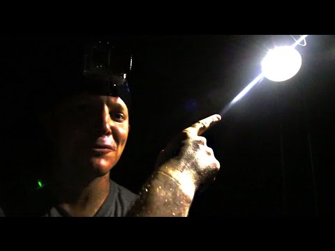 重力を光に変える - 賢い毎日 146 (Turning Gravity Into Light - Smarter Every Day 146)