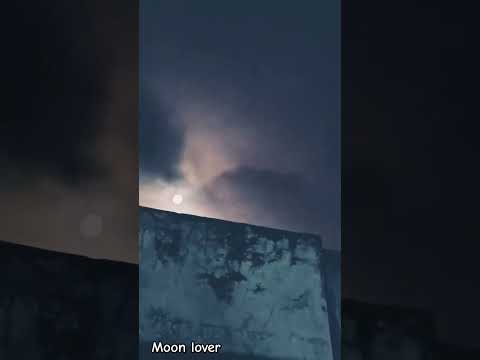 Moon Lover ll Nights Shorts 🖤🌸🖤