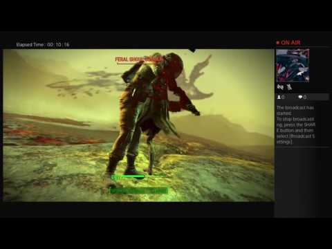 Exploring the Glowing Sea