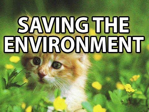 Cat Poop Can Save The Environment!