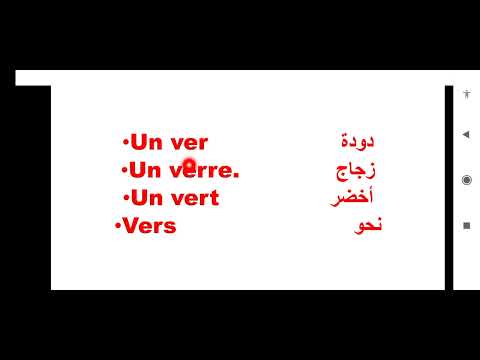 #les_homophones#تعلم_اللغة_الفرنسية