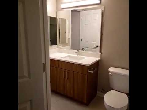 Take a Tour of Apt 113 a Renovated 1B the Barlow
