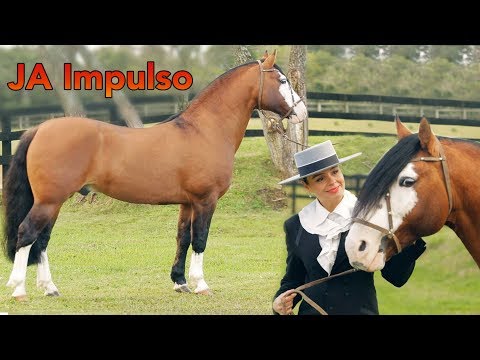 IMPULSE at Santa Fe Cabin