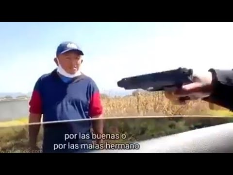 Mama no crio a un cobarde