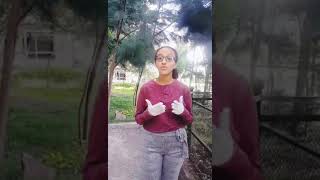 LSSYA