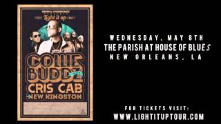 LIGHT IT UP TOUR 2013 (COLLIE BUDDZ)