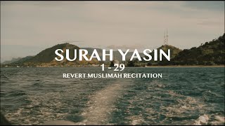 Download lagu SURAH YASIN 1 - 29 | 🇫🇮 Revert girl from Finland recites Quran mp3