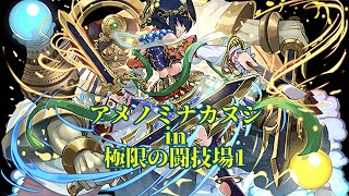 静謐の天央神・アメノミナカヌシ in 極限の闘技場1